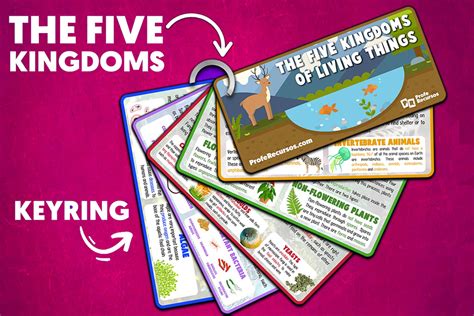 The Five Kingdoms Of Living Things For Kids Super Pack
