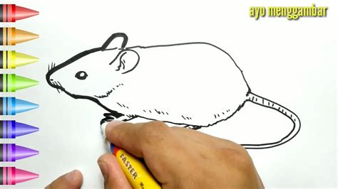 470 ibu clipart gratis domain publik vektor. MUDAHNYA ,ayo belajar cara menggambar TIKUS dan mewarnai ...