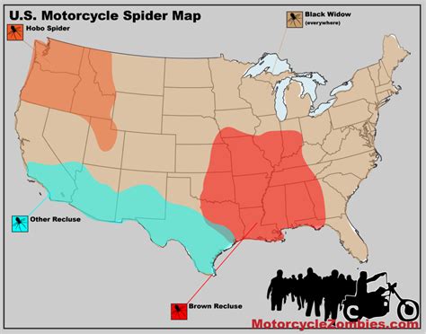 Black widow spiders are small arachnids but are one of the deadliest spiders in the world. What's Hiding in Your Project Motorcycle ...