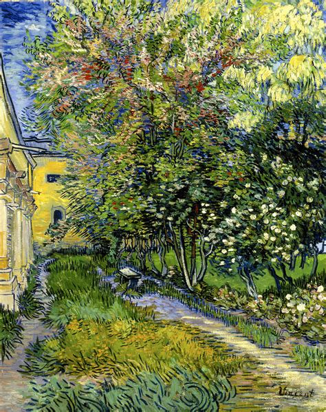 Van Gogh Tra Grano E Cielo Le Immagini Delle Opere In Mostra A Vicenza
