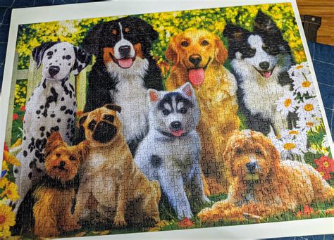 Dog Jigsaw By Big Ben 1000 Pieces Rjigsawpuzzles