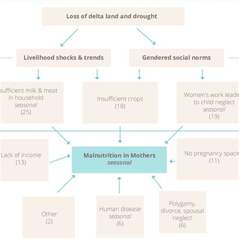 Causes Of Child Malnutrition Download Scientific Diagram