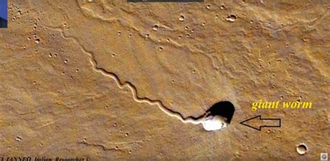 A Giant Worm On Mars Matteo Ianneo Italian Researcher Space