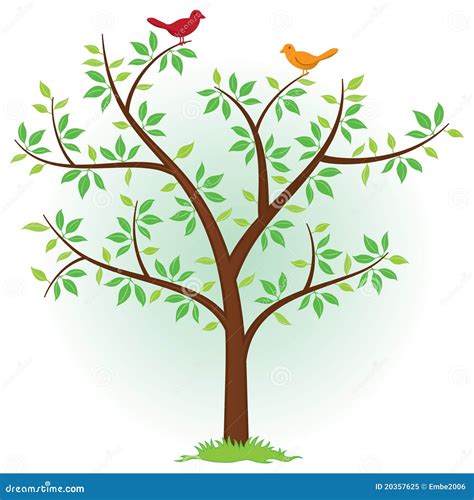 Tree With Birds Royalty Free Stock Photo Image 20357625