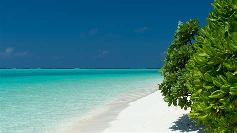 Download Wallpaper Turquoise Waters Of Maldives 3840x2160