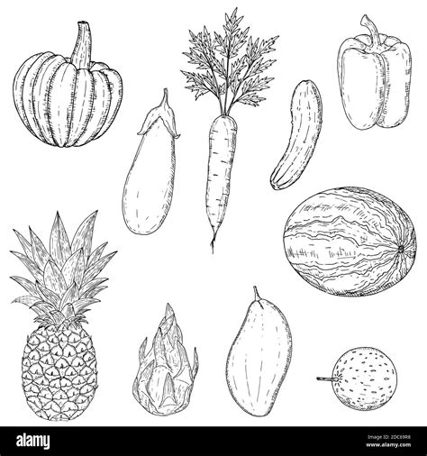 Conjunto De Frutas Y Verduras Ilustración De Dibujos Animados