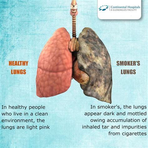 the differences in lung between non smokers and smokers cannot be disputed from tar coated
