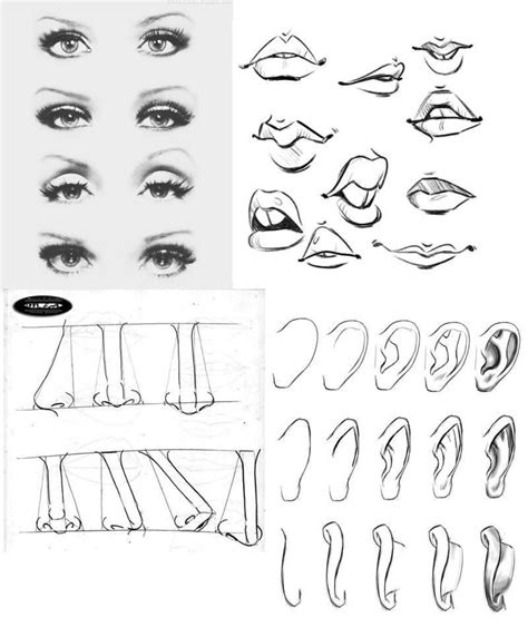 La guía definitiva para aprender a dibujar rostros Dibujar rostros Como dibujar rostros
