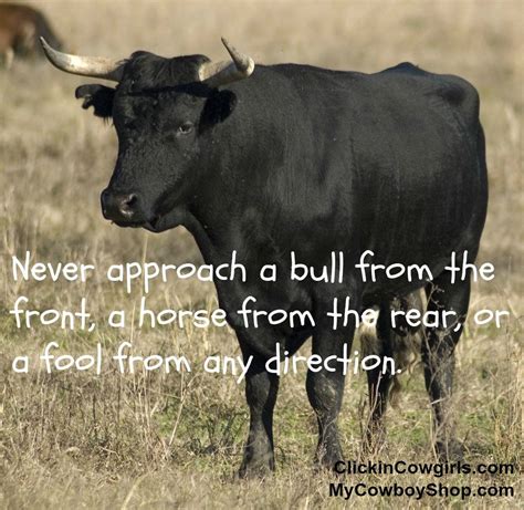 Bull quotations by authors, celebrities, newsmakers, artists and more. Bull Animal Quotes - VisitQuotes