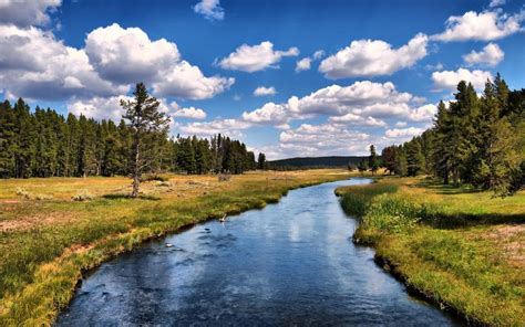 Hd Grizzlyriver At Yellowstone National Park Hdr Wallpaper Download