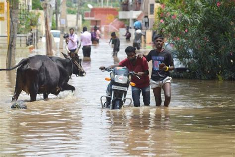 flood situation worsens in karnataka with heavy rains कर्नाटक में भारी बारिश के चलते बाढ़ की