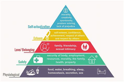 Maslows Hierarchy Of Needs Download Scientific Diagram