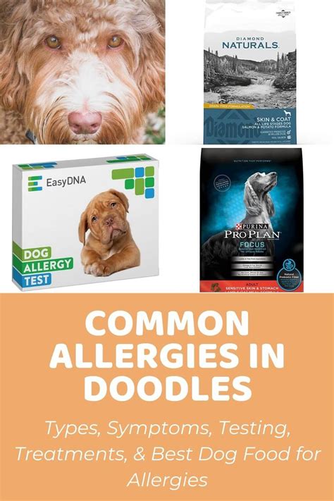 Dog Food Allergies Seasonal Allergies Skin Allergies Free Dog Food