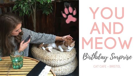 You And Meow Cat Cafe Bristol Surprise Birthday Present Emily Louise
