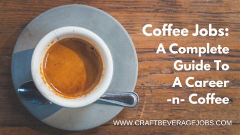 Coffee Jobs Complete Guide To A Career In Coffee