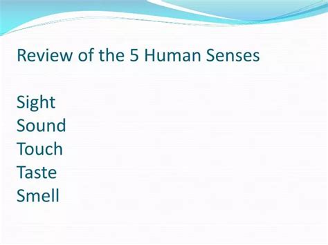Ppt Review Of The 5 Human Senses Sight Sound Touch Taste Smell