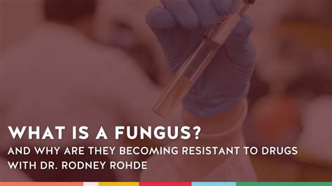 Drug Resistant Fungal Infections Growing Worldwide Youtube