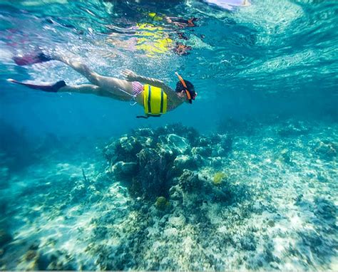 Snorkeling In The Caribbean Check Out Our Website Thetravelmechanic