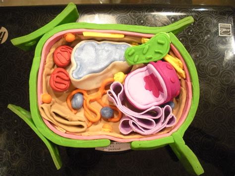 Plant Cell Baking Clay Sculpture Flickr Photo Sharing