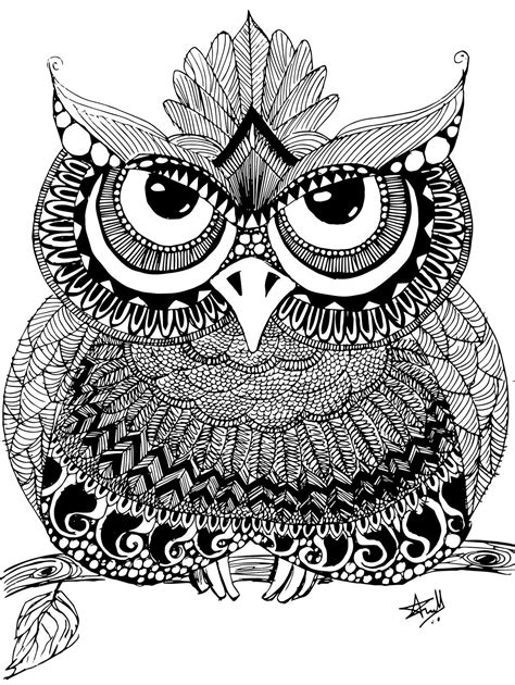 Zentangle Owl On Behance Owl Coloring Pages Tangle Art Owl