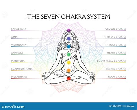 Sete Sistemas De Chakra No Corpo Humano Infográfico Com Mulheres Iogi Meditantes Ilustração