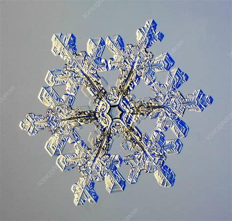Snowflake Stock Image E1270435 Science Photo Library