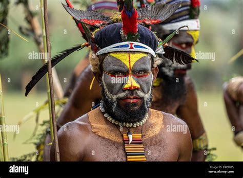 Dancers in war paint, Sing Sing, Festival, Mount Hagen, Papua New