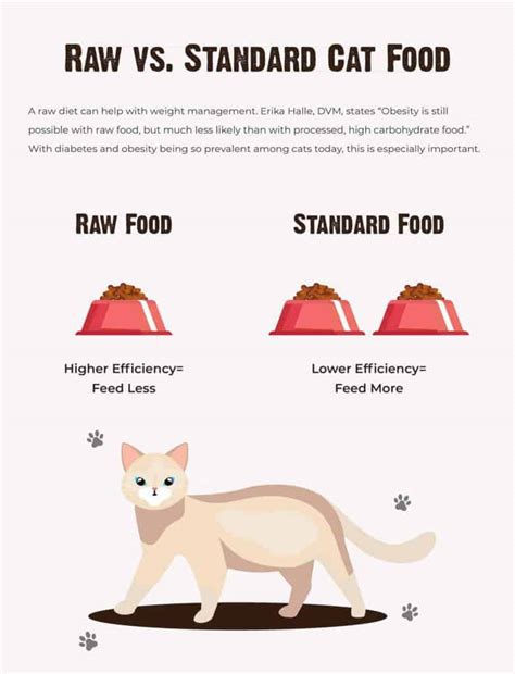 Should You Feed Your Cat A Raw Diet 11 Questions To Ask First Rawz