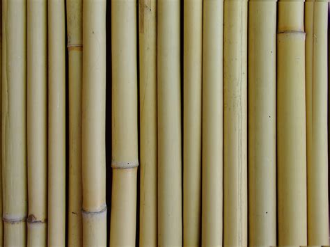 Bamboo Pole Texture Seamless