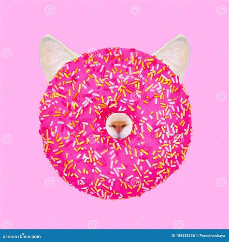 Donut Cat Donut Vibes Contemporary Art Collage Funny Fast Food