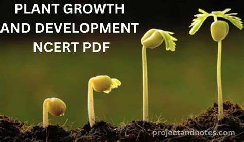 Plant Growth And Development Ncert Pdf