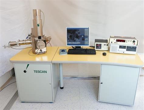 313 Sem Tescan Vega Microscope With Cl System Download Scientific