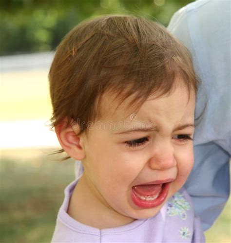 Baby Girl Crying Stock Image Image Of Brown Nose Cute 186725