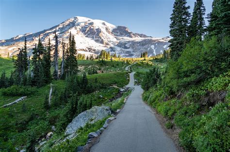 How To Hike The Incredible Skyline Loop Trail At Mt Rainier