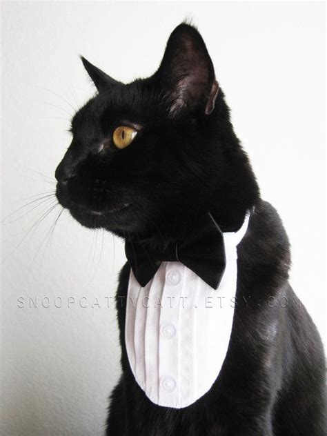 Cat Tuxedo The Original Classic Black Tie Etsy Cats Cute Cats