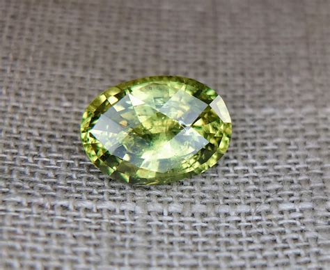 585ct Stunning Green Montana Sapphire Blaze N Gems