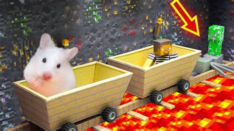 Hamster Escapes Minecraft Lava Prison 🐹 Obstacle Course Youtube