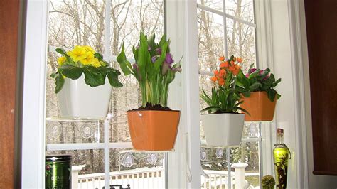 The most common indoor window planter material is wood. Window Shelf - Unclutter Your Windowsill. Put Your Indoor ...