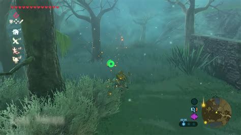 How To Get Through The Lost Woods In Zelda Botw