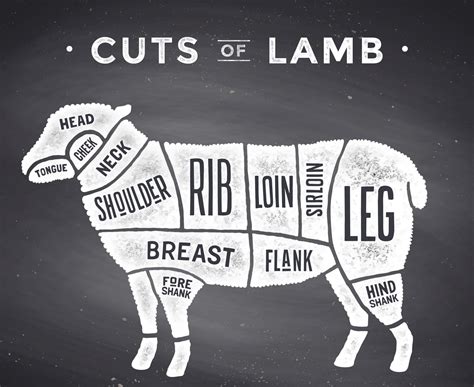 Free Range British Lamb Cuts Selection Box John Sheppard Butchers