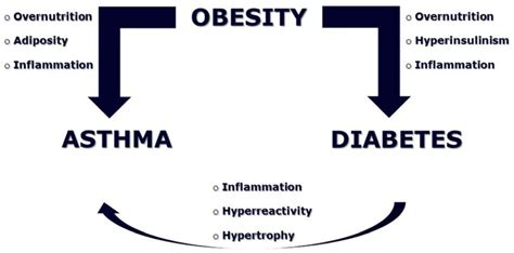 Obesity Diabetes Asthma Link Download Scientific Diagram