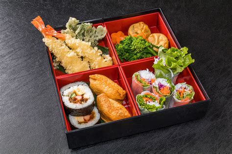 Bento Fancy Japanese Lunch Oyakata