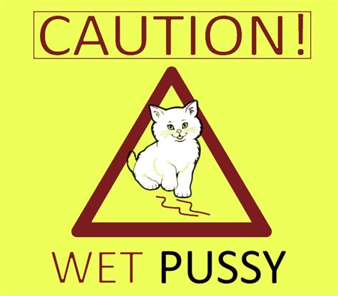 caution wet pussy slippery when wet 9gag
