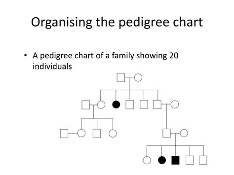 Ppt Pedigree Charts Powerpoint Presentation Free Download Id2682368