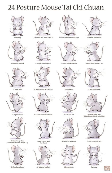 The movements in this 24 taichi routine follow the principle of simple to complex and from easy to difficult movements in a progressive manner. Mouse Tai Chi Chuan I've always found this illustration to be cute, accurate, and easy to follow ...