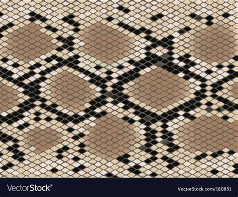 Snake Skin Pattern Royalty Free Vector Image Vectorstock