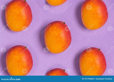 Pattern Of Ripe Tropical Mangoes Purple Background Top View Minimal