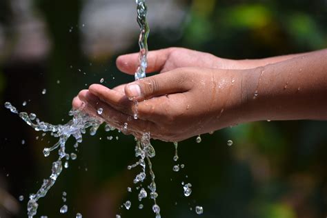 La Importancia Del Cuidado Del Agua Para La Sociedad Actual Rotoplas