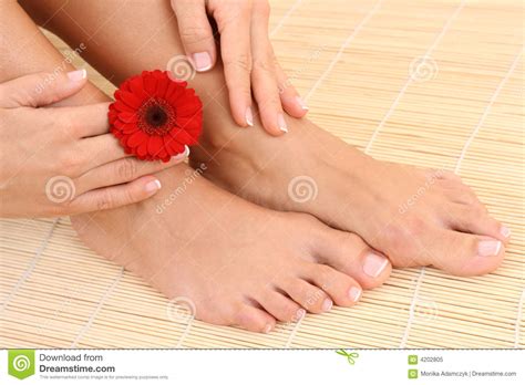 Legs And Hands Of Gymnasts In Choreographic Positions Royalty Free Stock Photo CartoonDealer