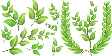 16 Free Vector Leaves Images Green Leaf Vector Green Leaf Tree